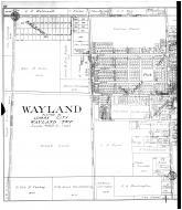 Wayland, Hamilton - Left, Allegan County 1913